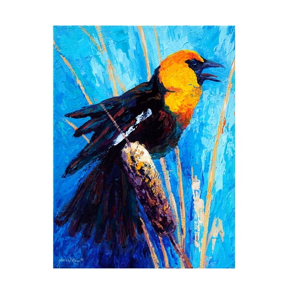 Trademark Fine Art Marion Rose Working The Shallows Canvas Wall Art - 14x19