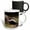 Multicolor, variant on 3drose, Striped Skunk Wildlife, Hill Country, Texas - Na02 Rnu0263 - Rolf Nussbaumer, 11oz Two-tone Yellow Mug