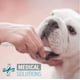 thumbnail image 5 of Kit Dental Antisarro Fancy Pets Pasta dental para perros Medical Solutions, 5 of 5