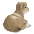 thumbnail image 4 of Hi-Line Gift Ltd. Small Brown & White Baby Lamb Lying Down, 4 of 6