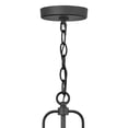 thumbnail image 5 of 2682BK-LV-Hinkley Lighting-Lakehouse - 1 Light Medium Outdoor Hanging Lantern in Coastal Style - 9 Inches Wide by 17.75 Inches High-Black Finish-LED, 5 of 7