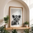 thumbnail image 5 of baby lion - Photography Tiger Wildlife Black and White Animal Portrait Nature Minimalist Unframed Wall Art Print 24 x 36 inches, 5 of 60