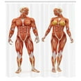 thumbnail image 3 of Ambesonne Anatomy Shower Curtain, Male Human Body, 69"Wx70"L, Coral, 3 of 3