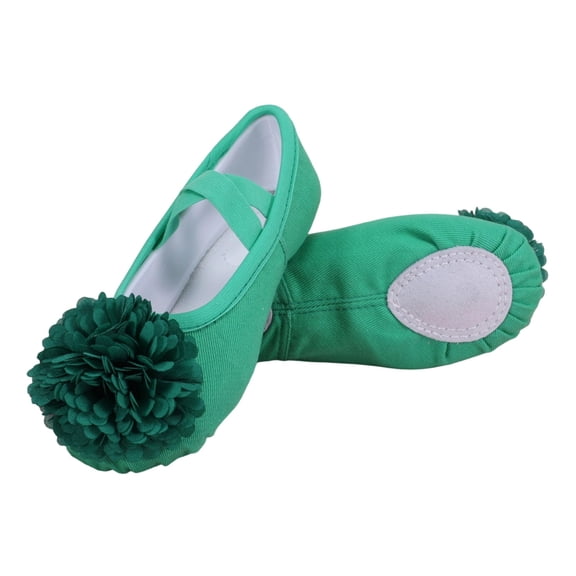 jianru Ballet Shoes for Girls Elastic Straps Non Slip Soft Sole Floral Canvas Professional Dance Shoes for Toddler Kids