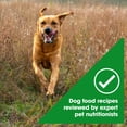 thumbnail image 6 of Nature's Recipe Grain Free Large Breed Dry Dog Food Chicken, Sweet Potato & Pumpkin, 24 lb Bag, 6 of 11