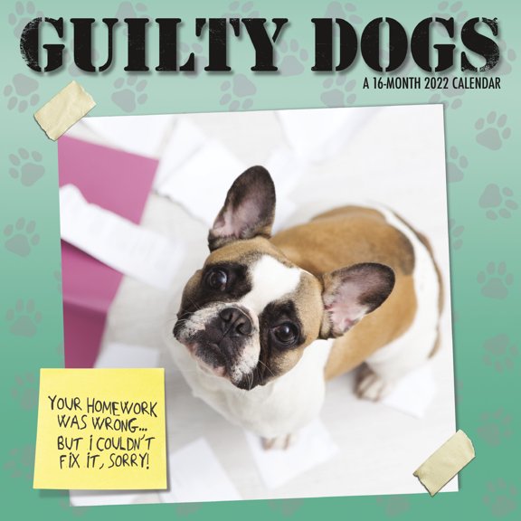 Dog Wall Calendars