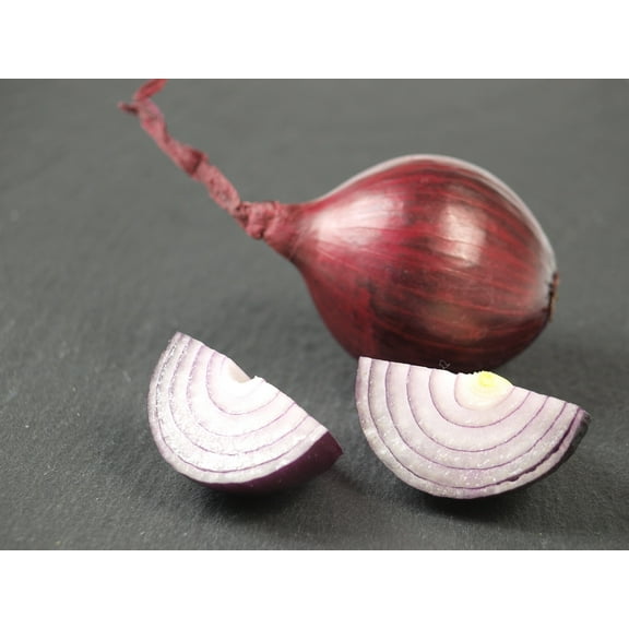 Red Burgundy Onion Seeds/ Perennial/ Full Sun/ 7K Seeds 1 oz/  Zellajake Farm and Garden- B179