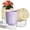Yellow & Purple, variant on IWNTWY 5.7" Self Watering Pots, 4 Pack Plastic Planters with Deep Reservoir and Wicking Rope for Indoor Outdoor Plants