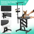 thumbnail image 2 of GloryStar Electric Hydraulic Lift Dog Grooming Table, 24 Inch Professional Pet Bathing Accessory Featuring Rotating Desktop, Overhead Arm, Foot Remote, Tool Organizer, 250 lbs Capacity, 2 of 6