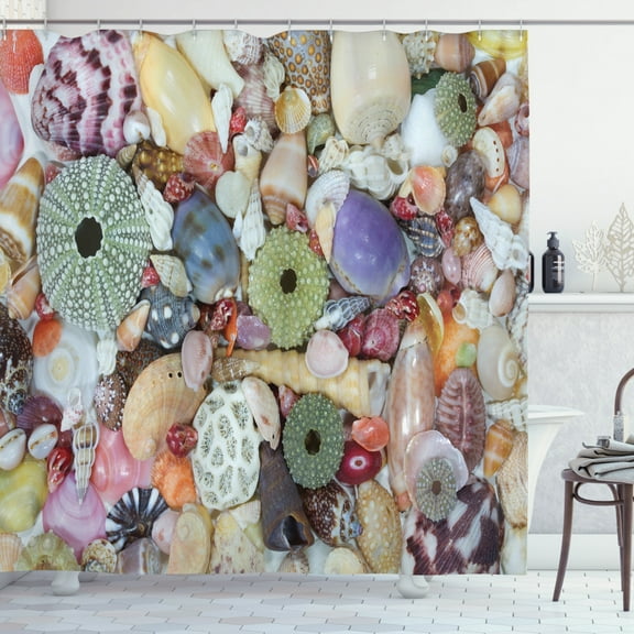 Ambesonne Shell Shower Curtain, Closeup Colorful Big Little, 69"Wx70"L, Multicolor