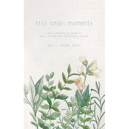Still Small Moments : What Parenting Can Teach Us about Growing with God in Every