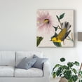 thumbnail image 3 of Trademark Fine Art 'Avian Crop V' Canvas Art by John James Audubon, 3 of 4