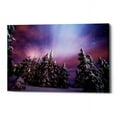 thumbnail image 2 of Epic Graffiti "Winter Nights" by Darren White, Giclee Canvas Wall Art 18" x 26", 2 of 2