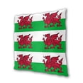 thumbnail image 2 of Welsh Dragon Flag Couch Square Decorative Throw Pillow Covers Set of 2 for Sofa Bed Cushion Covers Home Decor 20"x20", 2 of 7