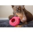 thumbnail image 4 of Jolly Pets 4.5-inch Jolly Tuff Treader, 4 of 4