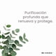 thumbnail image 3 of Jabón Puro de Castilla Dr. Natural Multiusos 473 ml Eucalipto 100% Natural Hipoalergénico, 3 of 7