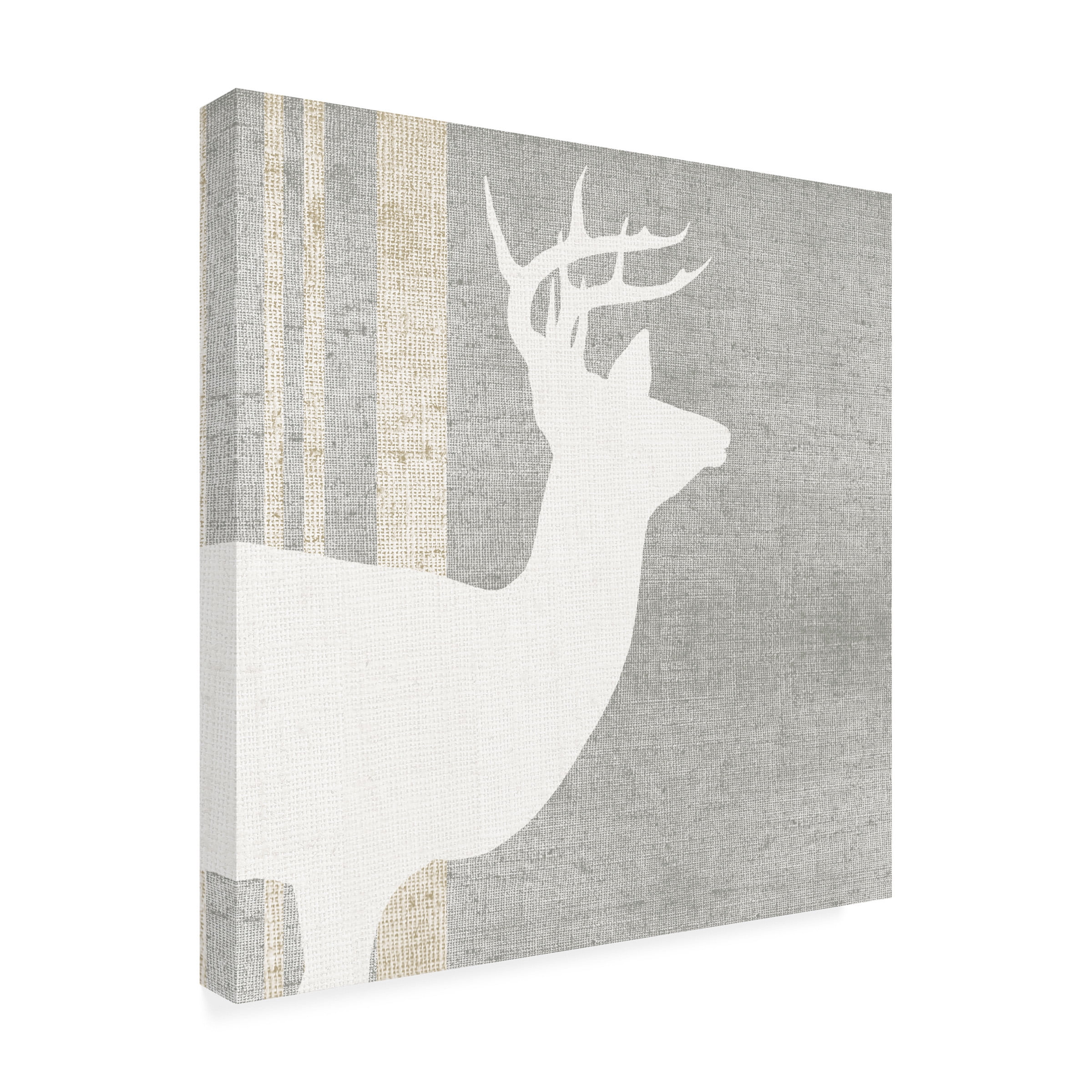 Trademark Fine Art 'Woodland Animal I' Canvas Art by Wild Apple Portfolio