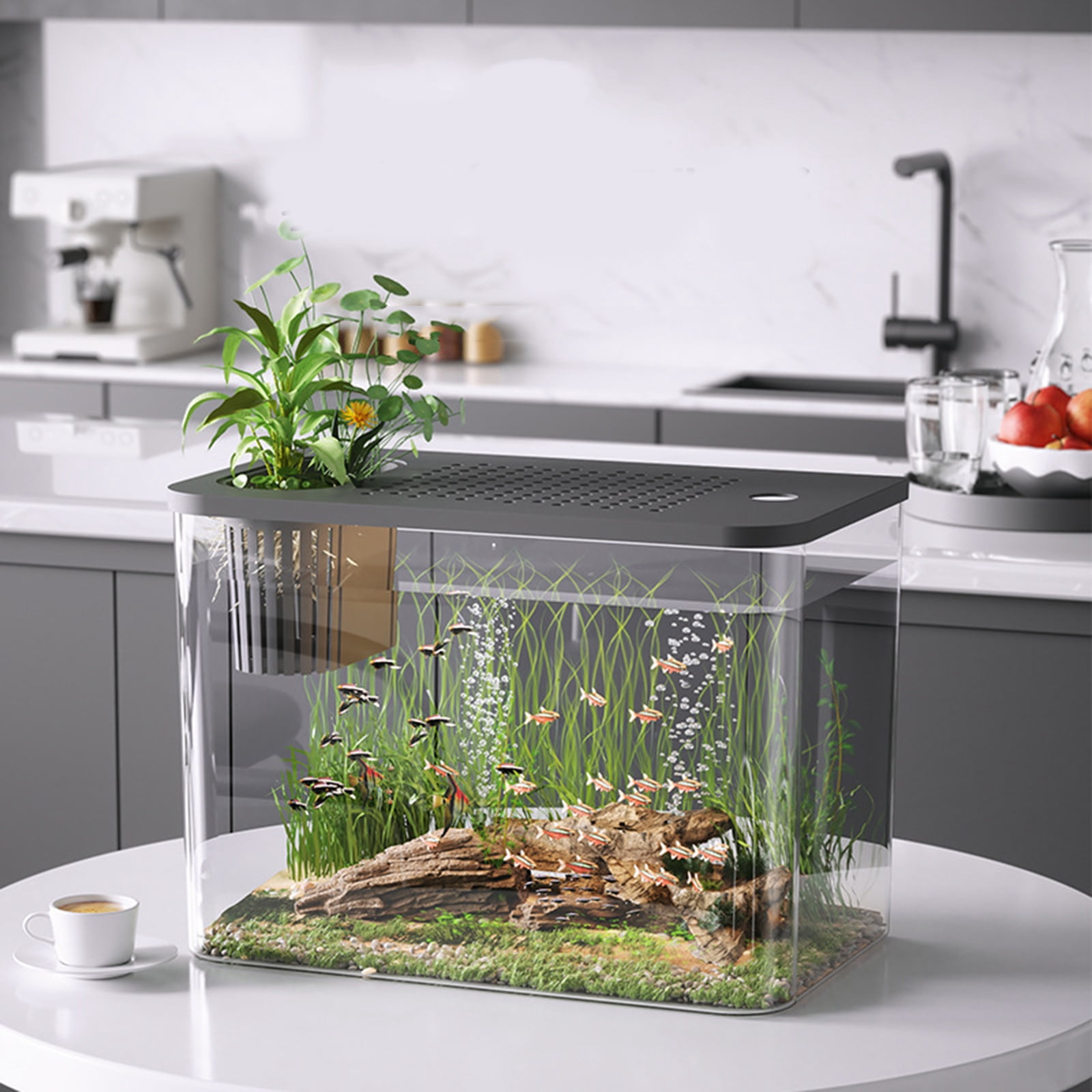 Modern Leakproof Aquarium with Child-Safe Lid & Plant Holder, Home Office Desktop Fish Habitat for