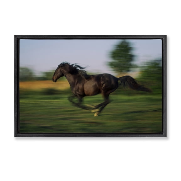 Stupell Industries Rustic Lodge Dashing Camargue Racehorse Black Floating Frame Canvas Art, 25 x 17, by Scott Stulberg