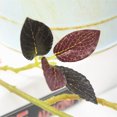 thumbnail image 4 of Yuarrent Plantas simuladas de 3 piezas para decoración del hogar apariencia realista bajo mantenimiento plástico elegante Decoración púrpura, 4 of 6