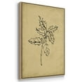 thumbnail image 3 of Holly Branch I - Framed Gallery Wrapped Holiday Canvas - 27 x 41 - Natural Wood Frame, 3 of 8