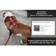 thumbnail image 5 of Pechera Para Pitbull, Husky, Pastor Aleman, Belga, 5 of 8