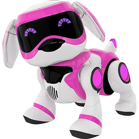 Pink Zoomer Dog Videos Pink Zoomer Dog Videos