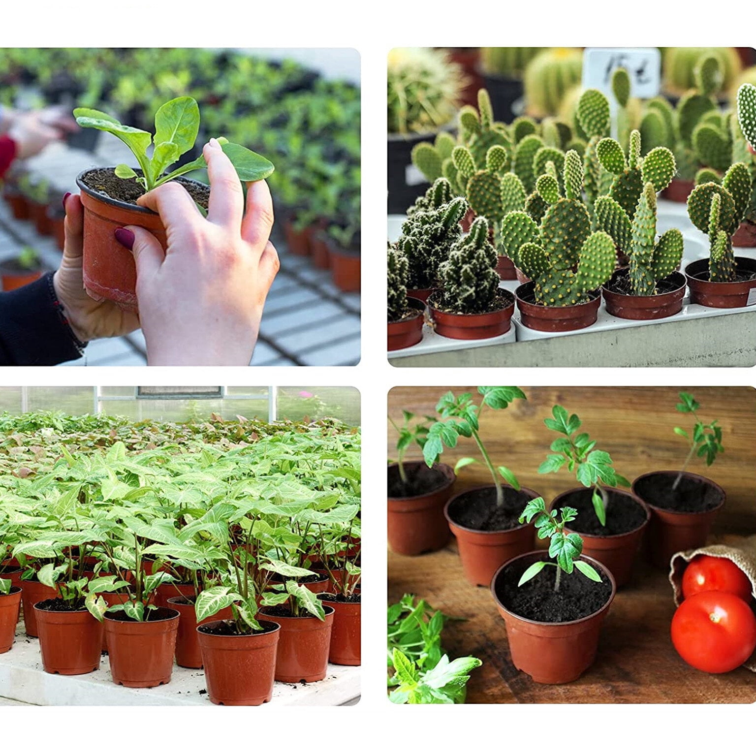 100 Pcs 5.9in Plastic Plants Nursery Pot Seedlings Flower Plant Pots Seed Starting Container