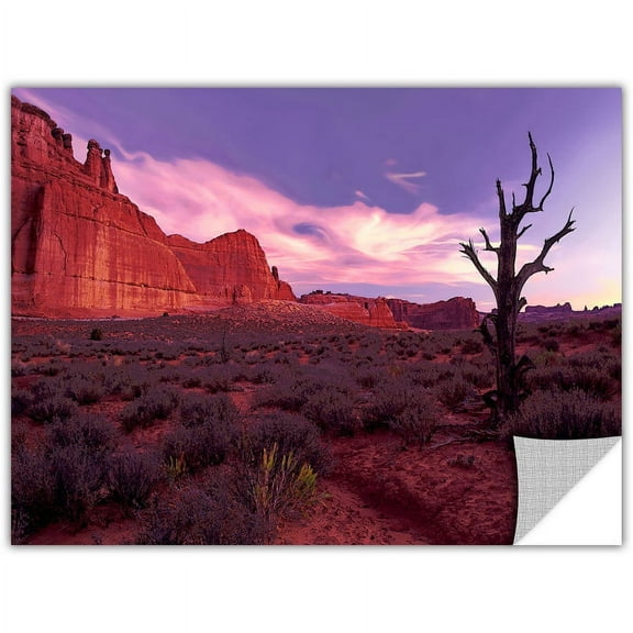 ArtWall Dean Uhlinger "High Desert Dawn" Art Appealz Removable Wall Art