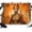 Gold, variant on Colorful Black Woman Drink Coffee Backdrops for Photography, African American Fabric Photo Background Sturdy Studio Props for Photo Studio, Video Recording, Booth & Photoshoot 7x5ft