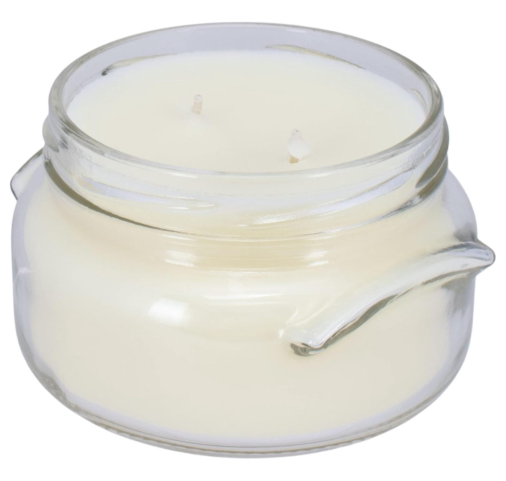 WINTER WONDERLAND Tyler 22 oz Large Scented 2-Wick Jar Candle