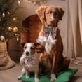 thumbnail image 3 of Collar para perro ADOGGYGO con lazo a cuadros verde navideño, tamaño mediano, 3 of 4