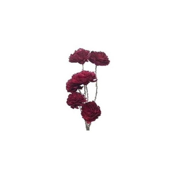 Metrotex Designs 41221 6 Stem Red Wine Dahlia Drop-in Bouquet