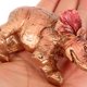 thumbnail image 4 of GAXIRE 2Ud Adorno De Elefante En Resina Resistente Para De Hogar Y Oficina, 4 of 7