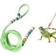 thumbnail image 1 of GHSDFBB Adjustable Lizard Leash Lizard Harnesses Lizard Traction Rope Glow Lizard Leash Bearded Dragon Leash for Small Medium and Large Reptile Amphibians (Green), 1 of 7