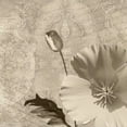 thumbnail image 2 of Wolk, Lisa 26x26 Gold Ornate Wood Framed with Double Matting Museum Art Print Titled - Vintage Rose I, 2 of 4
