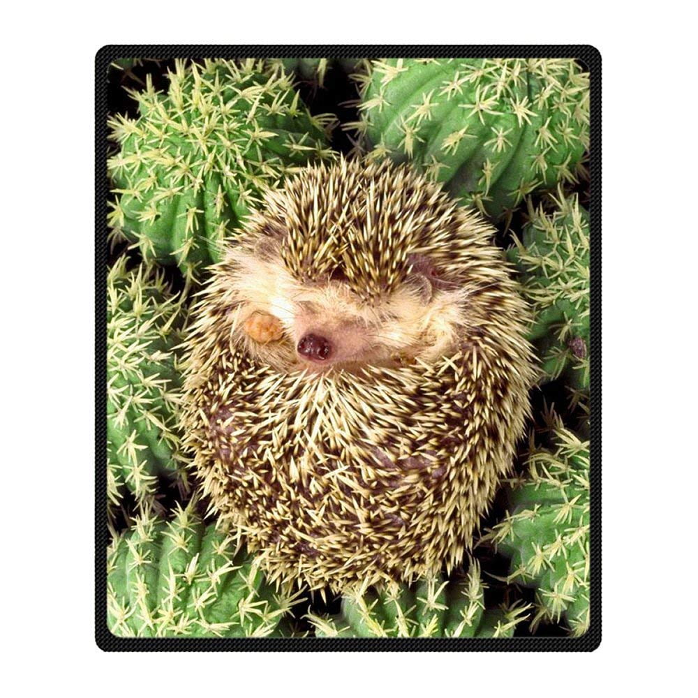 Rylablue Hedgehog Blanket Fleece Throw Blanket For Sofa Or Bed 58x80 Inches