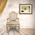 thumbnail image 3 of Crane, Rita 32x23 Gold Ornate Wood Framed with Double Matting Museum Art Print Titled - Calla Lilies VI, 3 of 4