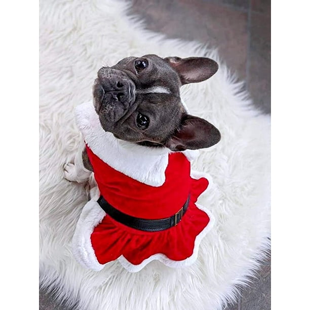 Dog mrs claus costume best sale