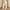 Beige, variant on Teen Sweatpants Girls' And Children's Solid Color Fashion Casual Elastic Waist Sports Straight Leg Pants Long Pants