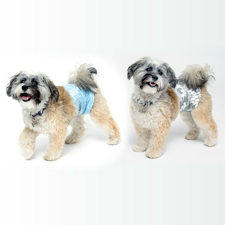 Diaper for shih tzu deals