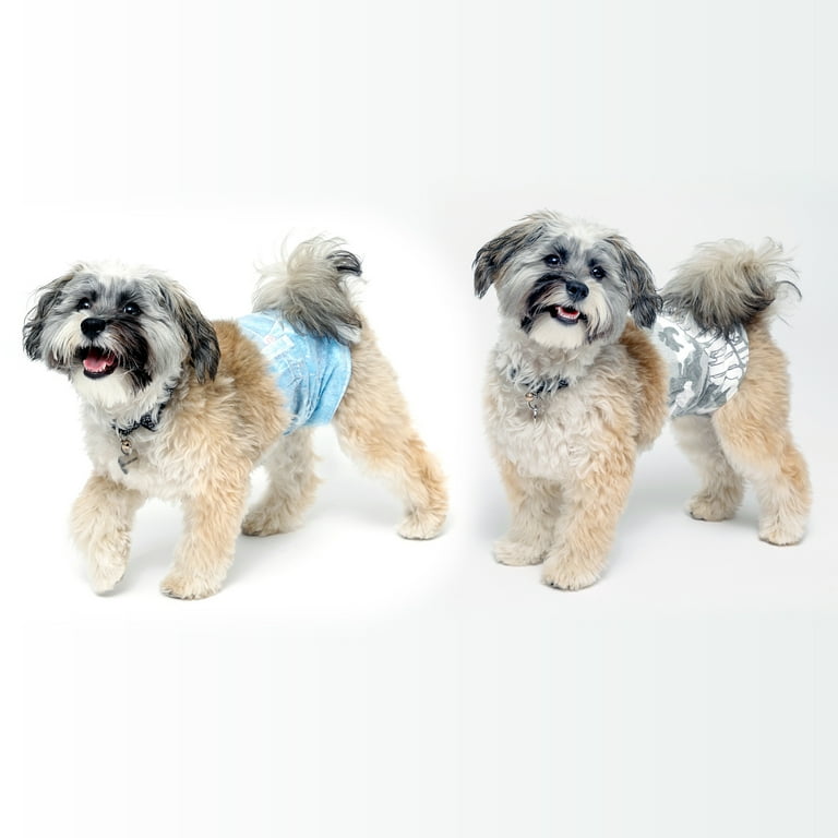  Wiki Wags Disposable Dog Wraps  Leak Proof Dog Diaper for  Male Marking and Incontinence, Small : Pet Diapers : Pet Supplies