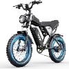 20''-Peak 2000W-48V 25AH