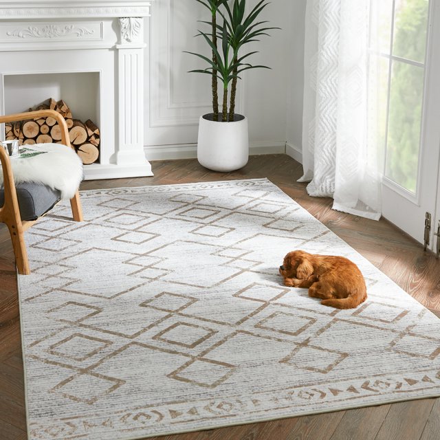 Rugking Area Rugs Area Rugs for Living Room 4X6 Modern Kitchen Soft Rug Indoor Mat Geometric Print Floor Cover Thin Carpet Doormat Non Slip for Bedroom Dining Room Taupe