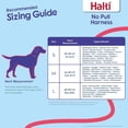thumbnail image 3 of Halti Harnais Sans Traction Grand, 3 of 6