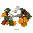 thumbnail image 3 of Hxlamzoo 20 LED Pumpkin Maple Leaf Light String for Halloween Thanksgiving Decor - Battery Operated Fall Fairy Lights, Outdoor Garden Party & Holiday Lighting Ornaments, 3 of 6