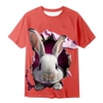 thumbnail image 3 of WOYY Boys Easter T-Shirt Bunny Print Short Sleeve Graphic Tee Cute Kids T Shirt, Sizes 1-13, 3 of 3