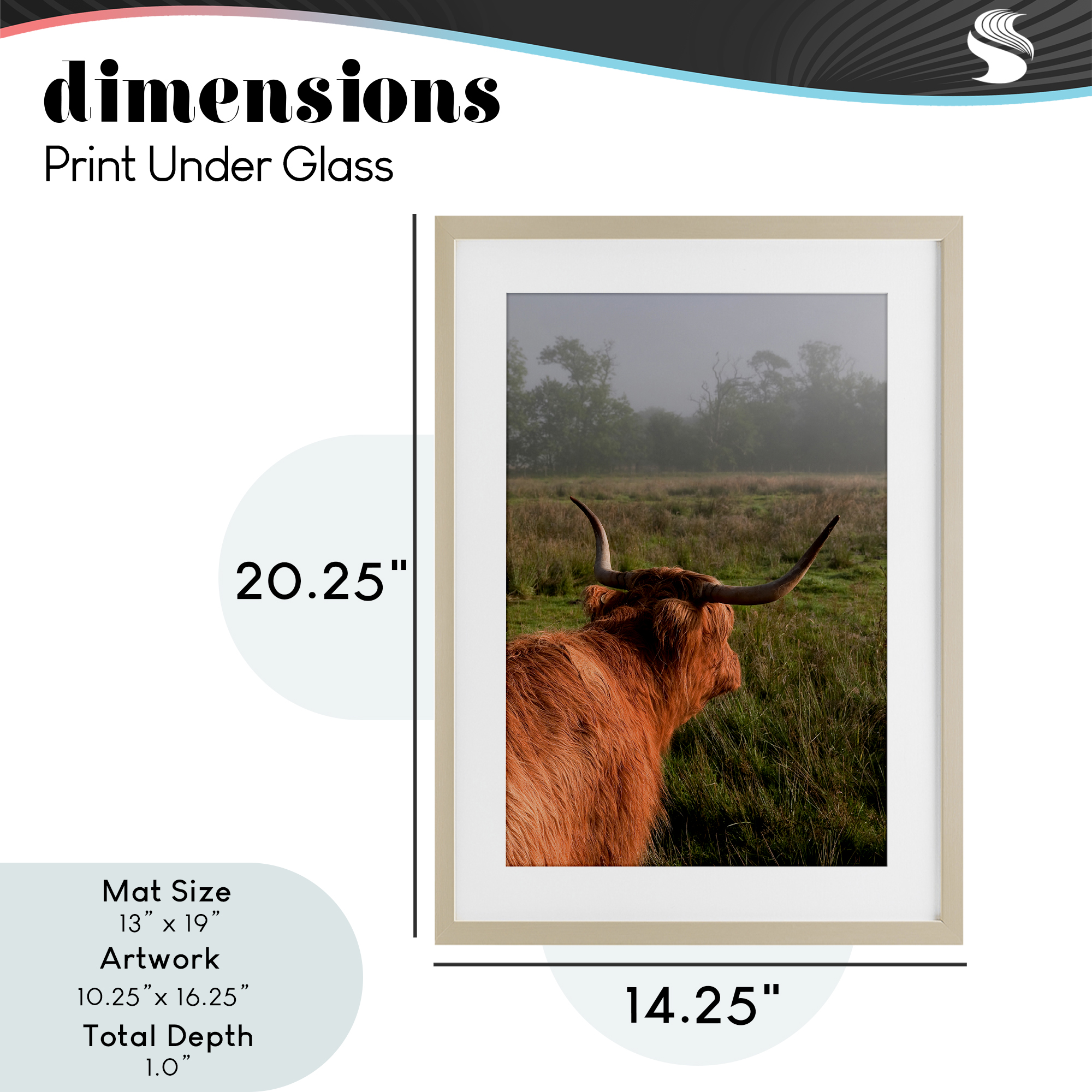 Highland Cow Gazing Out Birch Framed Print Under Glass, design by Jenny Rainbow Fine Art