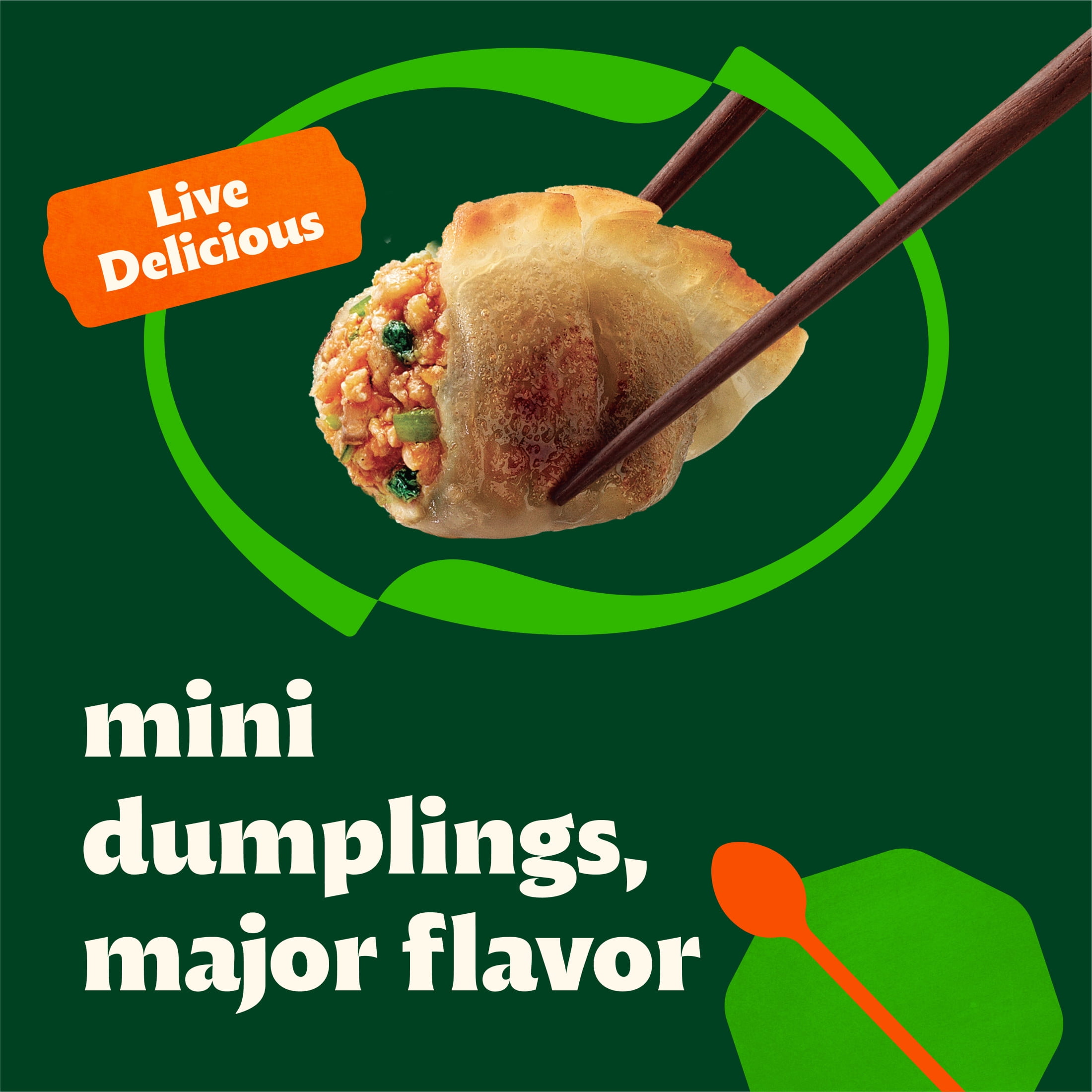 Bibigo Frozen Mini Wontons Spicy Chicken & Vegetable Dumplings, 24.0 oz