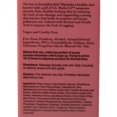 thumbnail image 4 of Medix 5.5 Retinol Cream with Ferulic Acid Anti-Sagging Treatment. Targets Crepey Wrinkles and Sun Damaged Skin. Anti-Aging Cream Infused With Black Tea, Aloe Vera, And Chamomile (15oz) 15o, 4 of 6